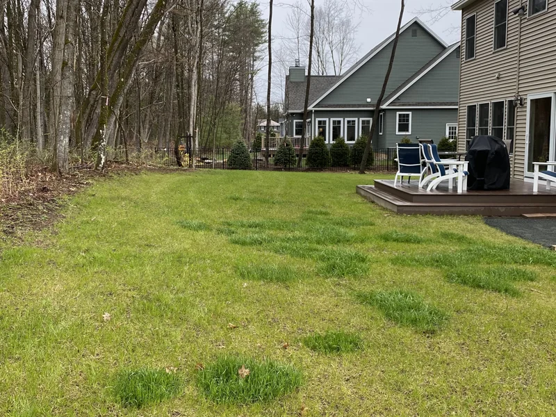 Before: backyard site conditions prior to fiberglass pool installation